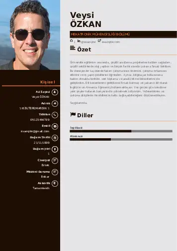 Mekatronik Mühendisliği Cv Örnekleri cv indir